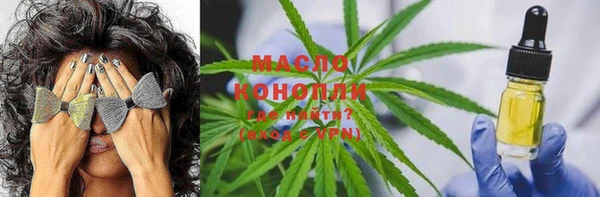 твердый Дмитров