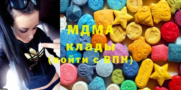 шишки Надым