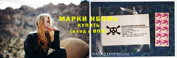 шишки Надым