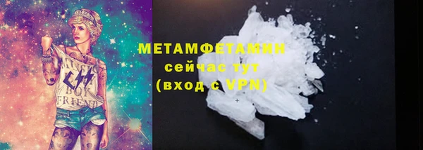шишки Надым