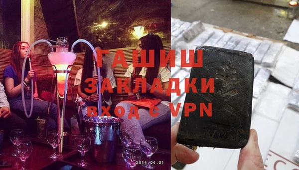 шишки Надым
