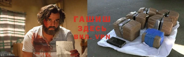 шишки Надым