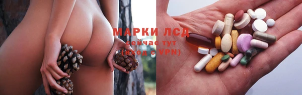 шишки Надым