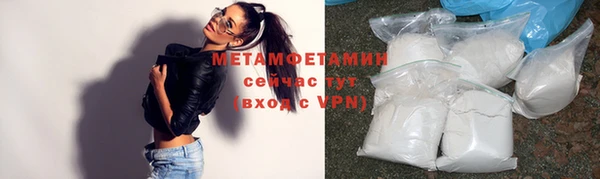 шишки Надым