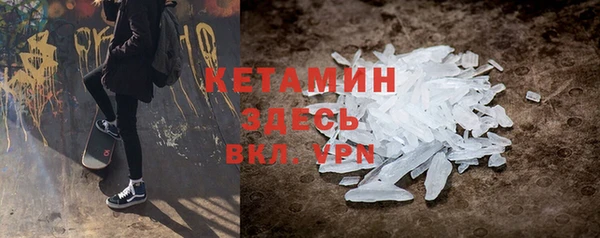 шишки Надым