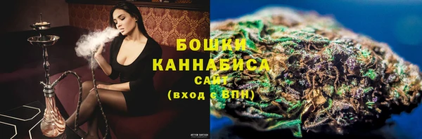 шишки Надым