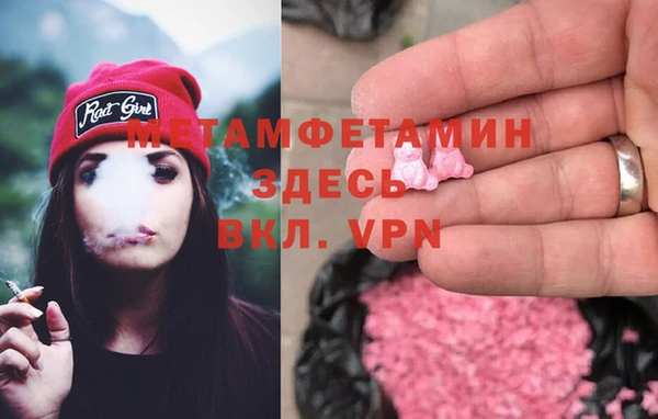 шишки Надым